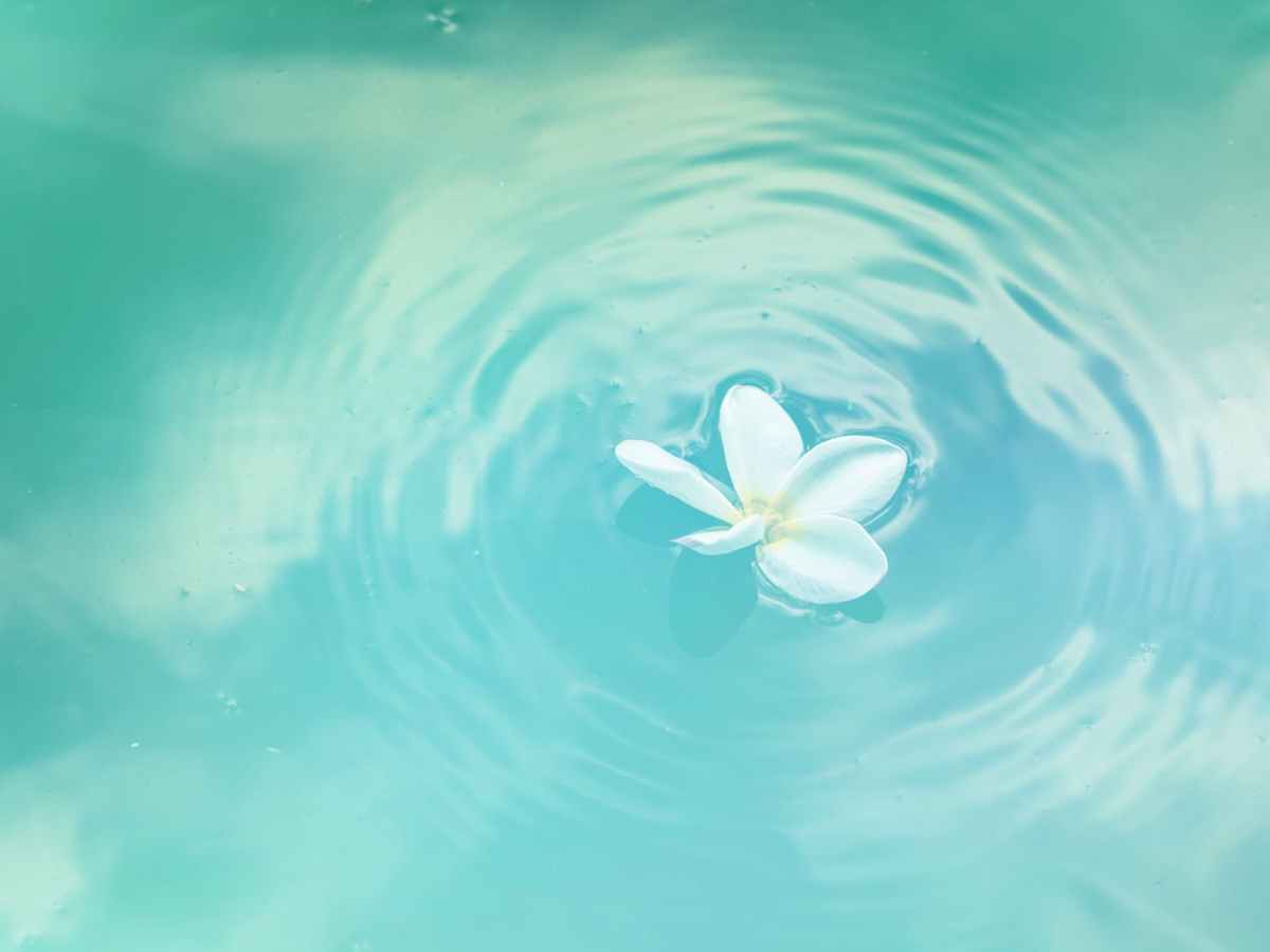 your light, my&nbsp;heart