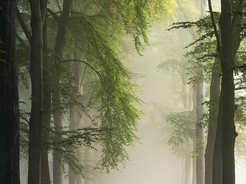 where my wild heart&nbsp;lies