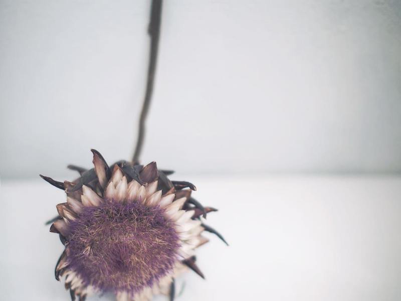 check on your&nbsp;friends?