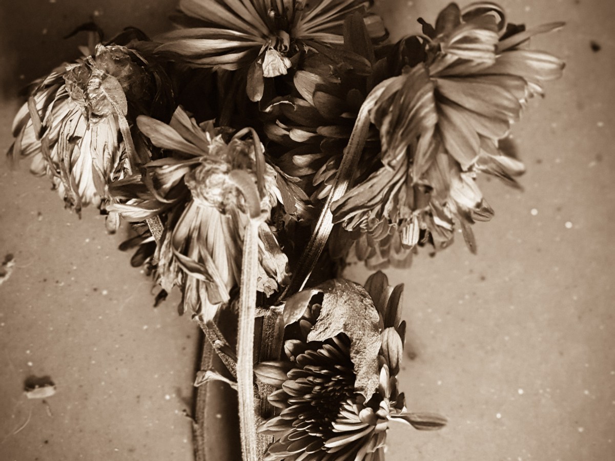 no one would hear me&nbsp;scream