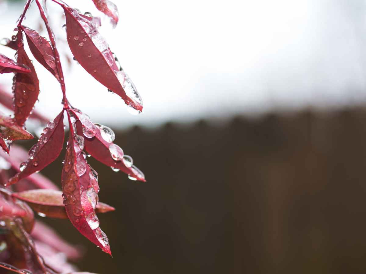 winter in hout&nbsp;bay